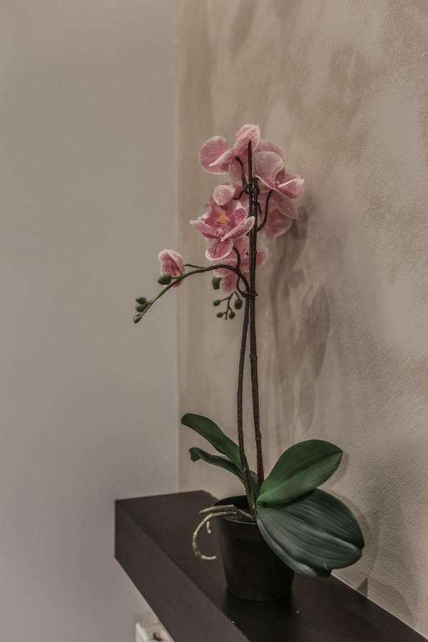 Stylish Apartment Near Duomo มิลาน ภายนอก รูปภาพ